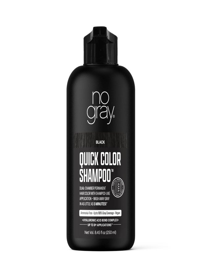 No Gray Quick Permanent Hair Color Shampoo, Black, 8.45 oz - Image 1